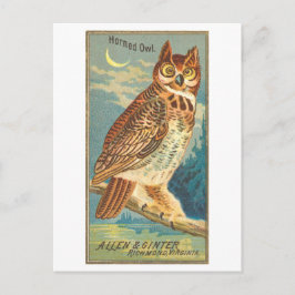 Horned Owl Allen & Ginter Trade Card Postkarte