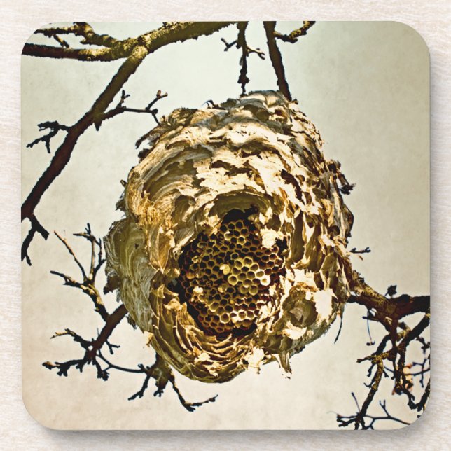Hornet-Nest Untersetzer (Vorderseite)
