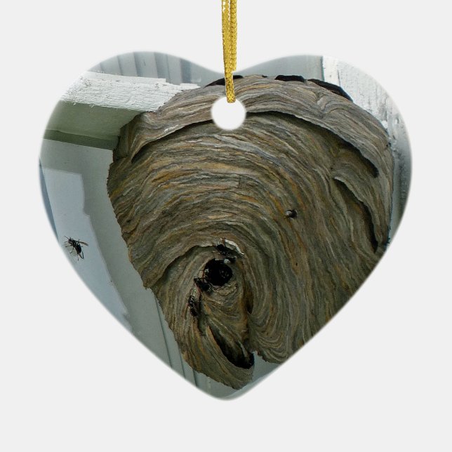 Hornets Nest Keramikornament (Vorne)