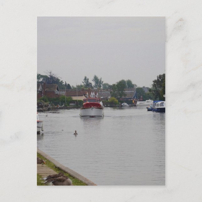 Horning on the River Bure Postkarte (Vorderseite)