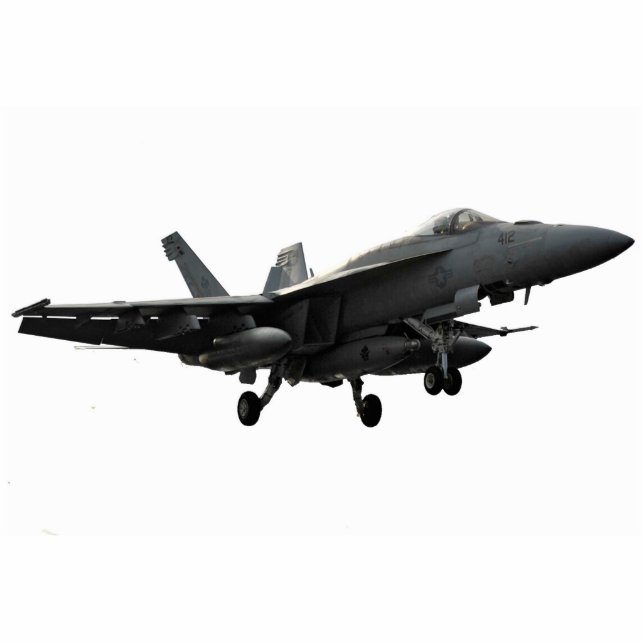 Hornisse F18 Freistehende Fotoskulptur (Vorne)