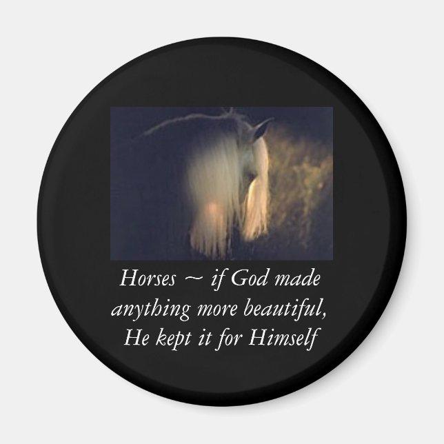 Hornmagnet Magnet (Vorne)