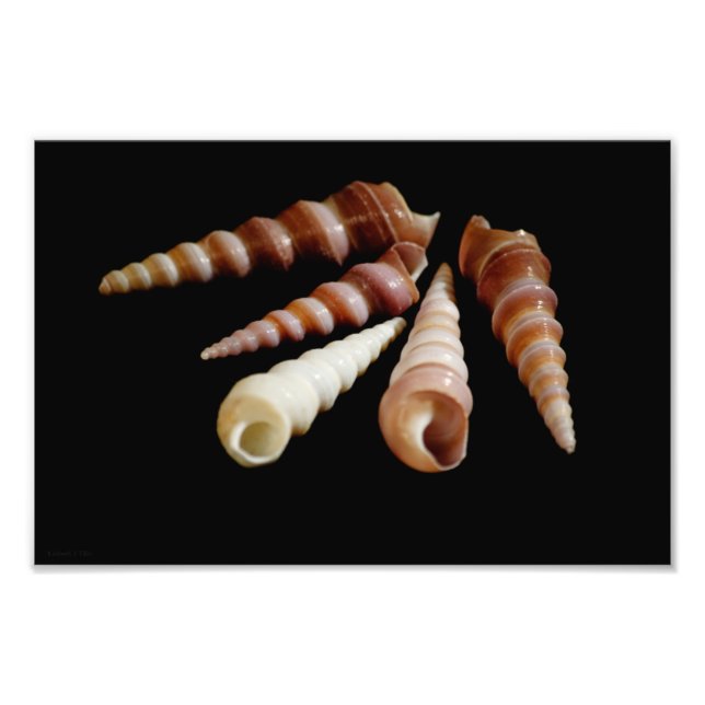 Horns Fotodruck (Vorne)