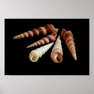 Horns Poster