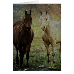 Horse Buddies Grunge