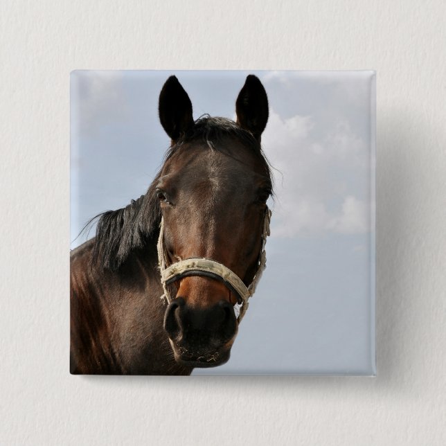 Horse Buttons (Vorderseite)