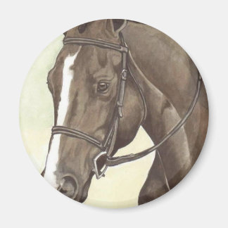 HORSE Champion Anlage QH Mare Magnet
