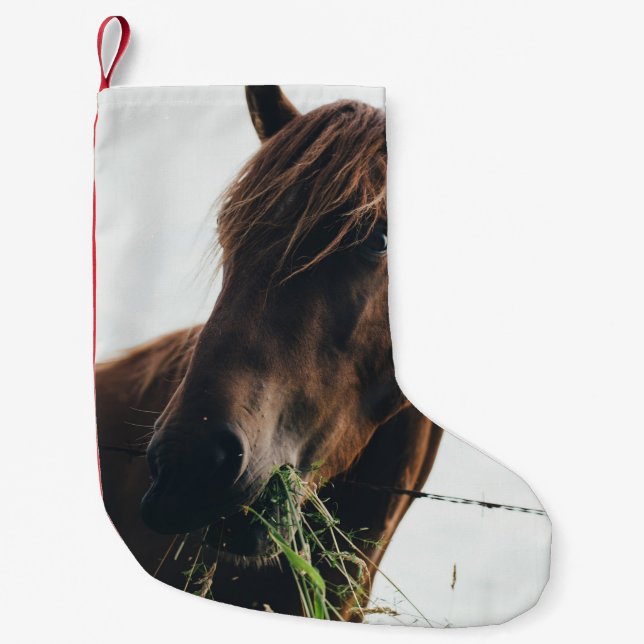 HORSE CHEWING GRASS KLEINER WEIHNACHTSSTRUMPF (Vorderseite)