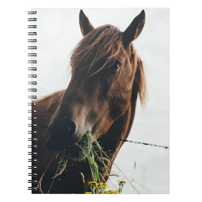 HORSE CHEWING GRASS NOTIZBLOCK (Vorderseite)