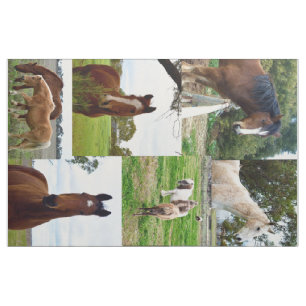 Horse_Collage, Combed Cotton (56" Breite) Material Stoff