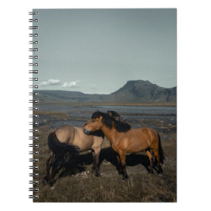 HORSE COUPLE NOTIZBLOCK