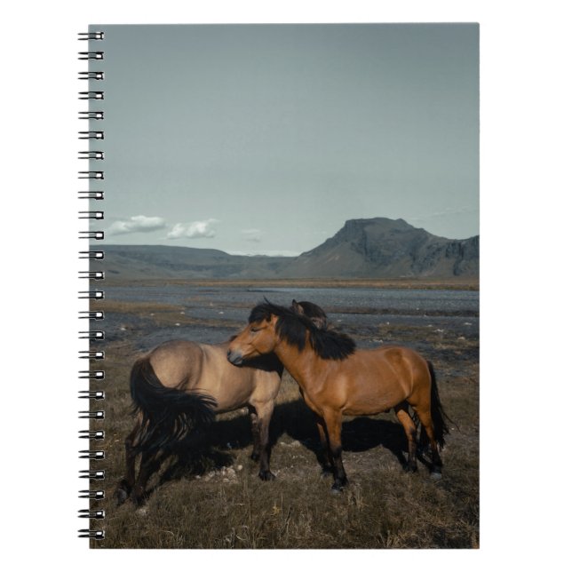 HORSE COUPLE NOTIZBLOCK (Vorderseite)