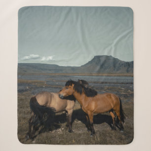 HORSE COUPLE SHERPADECKE