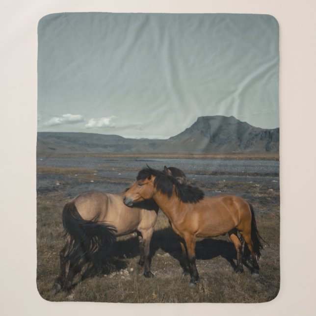 HORSE COUPLE SHERPADECKE (Vorderseite)