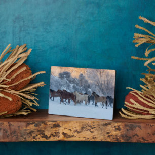 Horse Drive in Winter on Hideout Ranch Fotoplatte