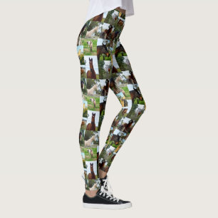 Horse Foto Collage, Ladys Full Print Leggings. Leggings