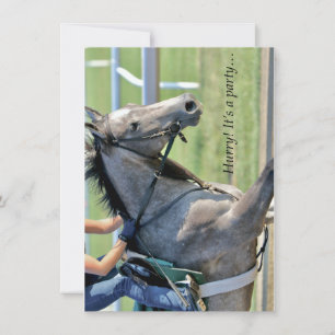 Horse Galloping - Saratoga - Einladung