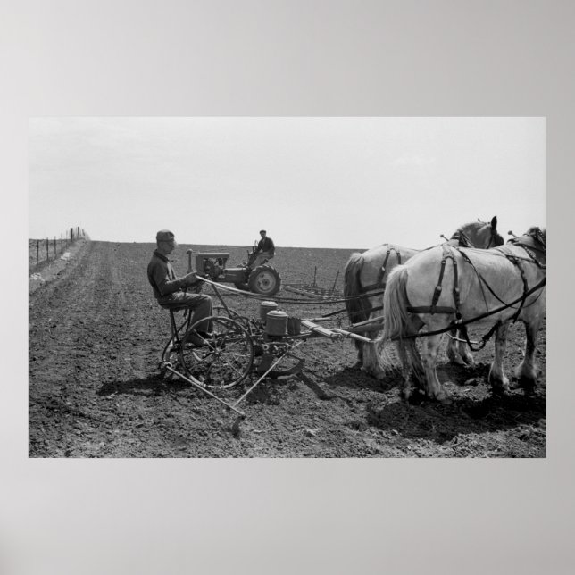 Horse-Gezeichnet Maisplanter, 1940 Poster (Vorne)