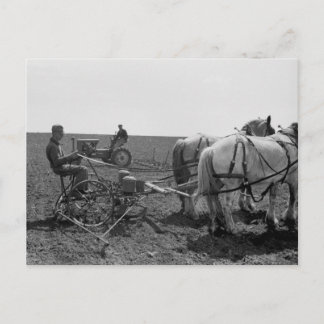 Horse-Gezeichnet Maisplanter, 1940 Postkarte