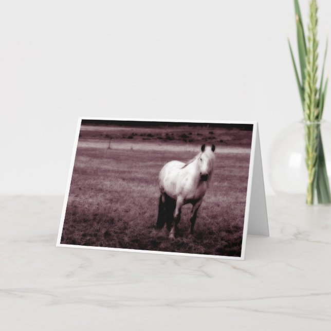 Horse Greetings Card Karte (Vorderseite)