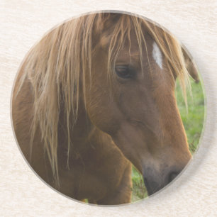 Horse Hello Getränkeuntersetzer