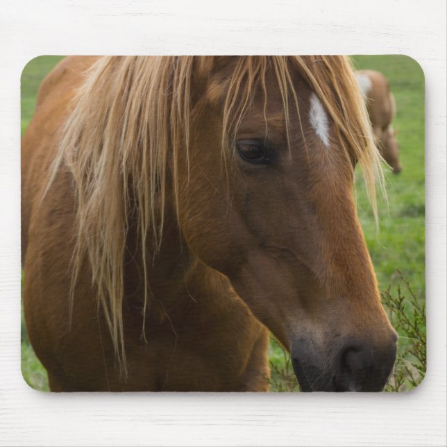 Horse Hello Mousepad (Vorne)