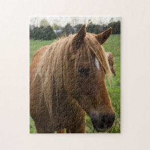 Horse Hello Puzzle