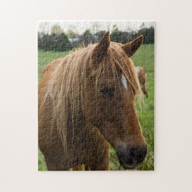 Horse Hello Puzzle (Vertikal)