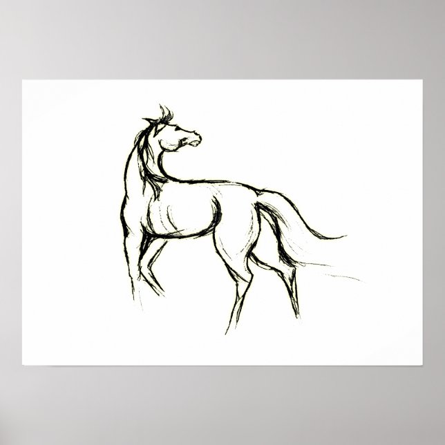Horse Illustration Poster (Vorne)