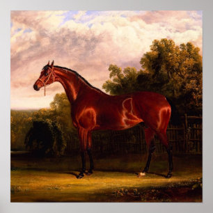 Horse In A Landscape Poster