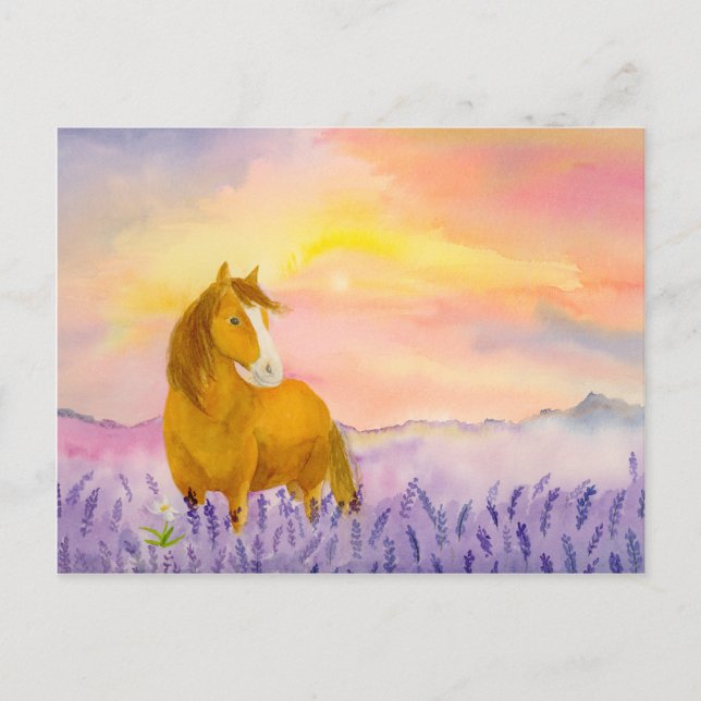 Horse in Lavender Field During Sunset  Postkarte (Vorderseite)