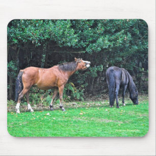 Horse-lover's Beautiful Equine Animal Design Mousepad