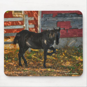 Horse-lover's Beautiful Equine Animal Design Mousepad