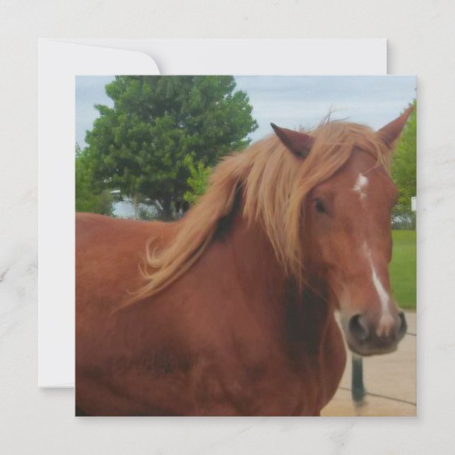 Horse Note Card | Elegant Equestrian Greeting Card (Vorderseite)