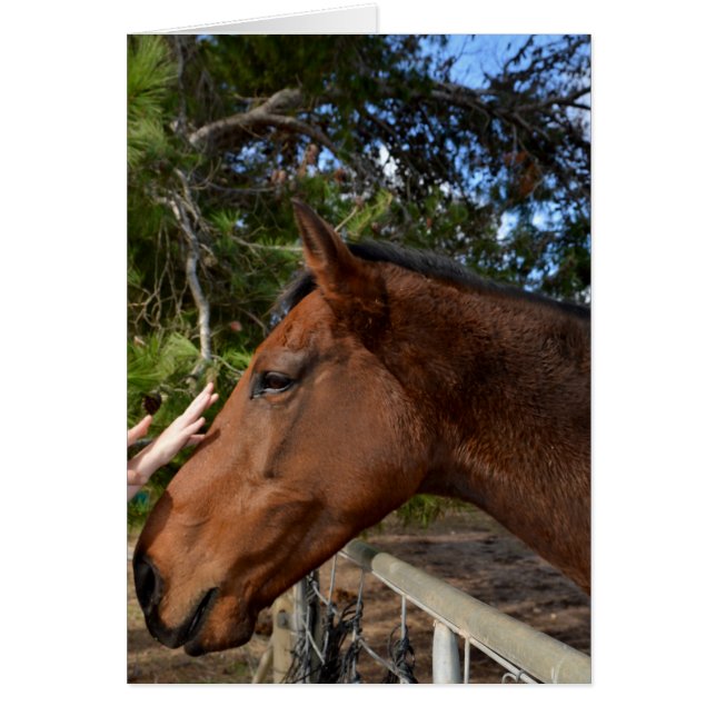 Horse_Pat,_Greeting_Card. (Vorne)