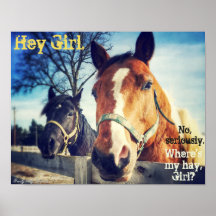 Horse Poster: "Hey Mädchen."
