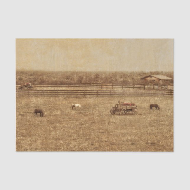 Horse Ranch Country Western Vintag Textur Seidenpapier (Vorderseite)