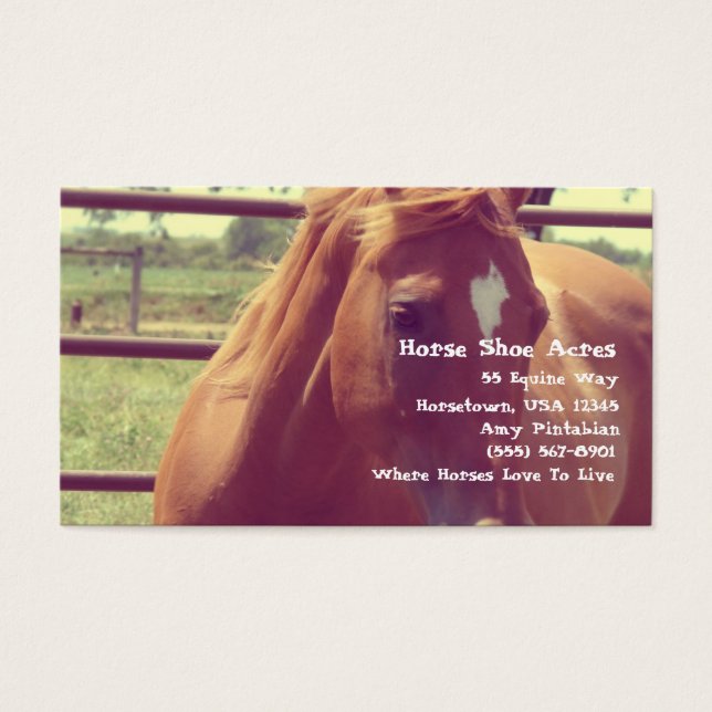 Horse Shoe Acres Soft Focus Sorrel (Vorderseite)