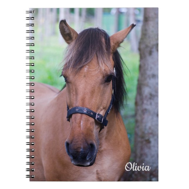 Horse Spiral Notebook Notizblock (Vorderseite)