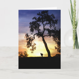 Horse Sympathy Card Karte