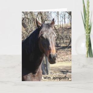 Horse Sympathy Card Karte