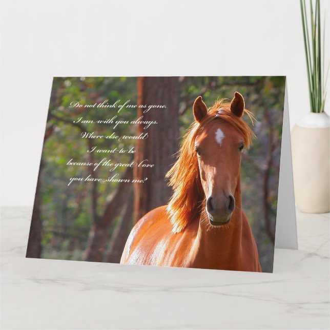Horse Sympathy Card Karte (Vorderseite)