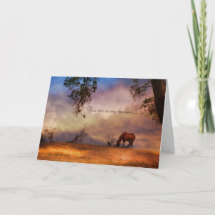 Horse Sympathy Card Karte