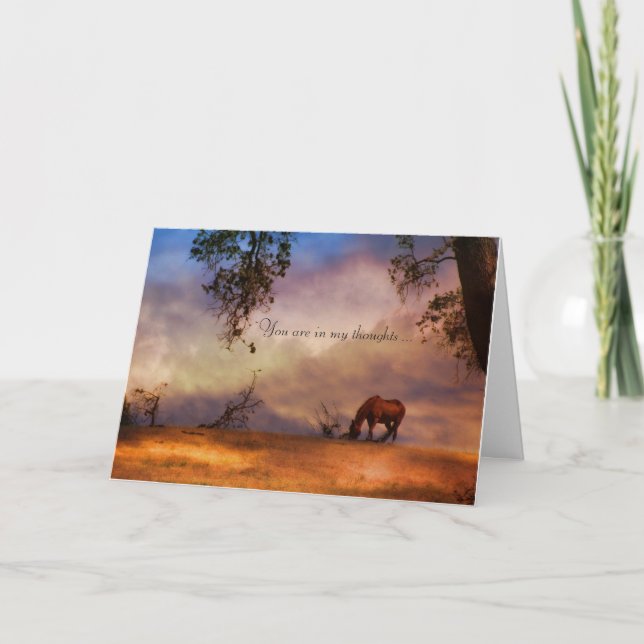 Horse Sympathy Card Karte (Vorderseite)