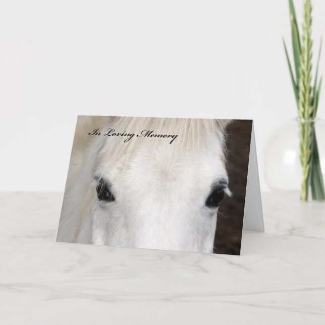 Horse Sympathy Card Karte (Vorderseite)