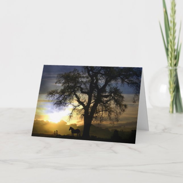 Horse Sympathy Card Karte (Vorderseite)