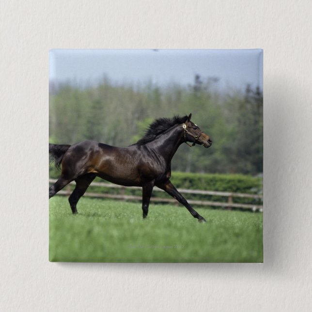 Horse Thoroughbreds, Wassl 1988, Button (Vorderseite)