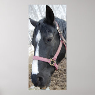 Horse Whisperer Poster