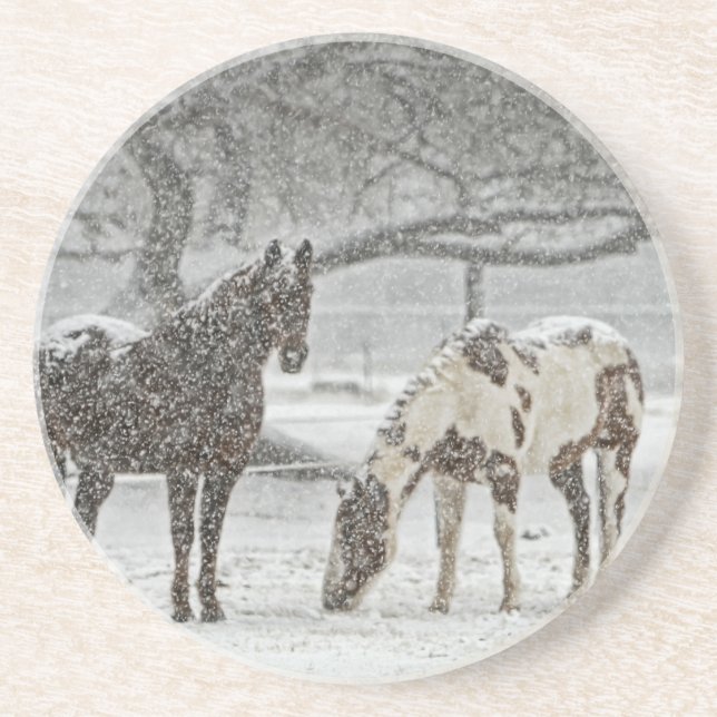 horse winter snow farm ranch animals snowy frozen untersetzer (Vorne)