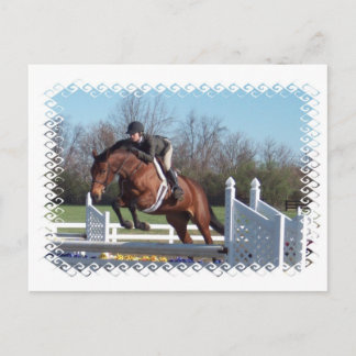 Horses and Show Jumping Postcard Postkarte